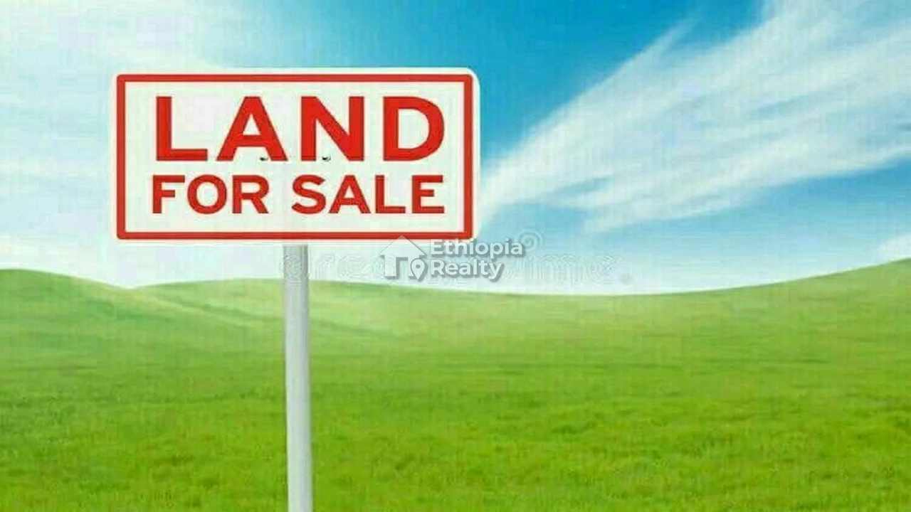 Land for Sale for Commercial Apartment Development in Megenagna, Addis Ababa 1 Land for Sale for Commercial Apartment Development in Megenagna, Addis Ababa Ethiopia